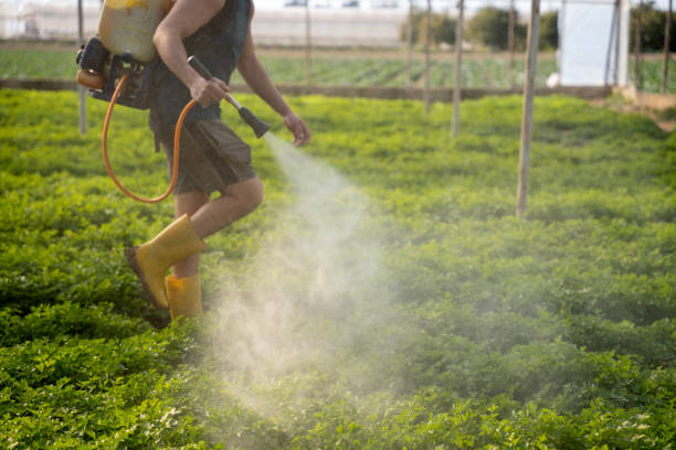 Best Best Pest Control Companies  in Ravenswood, WV