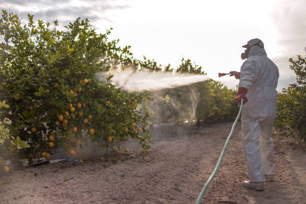 Best Residential Pest Control  in Ravenswood, WV
