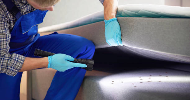 Professional Pest Control in Ravenswood, WV