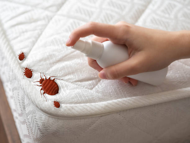 Best Local Pest Control Services  in Ravenswood, WV