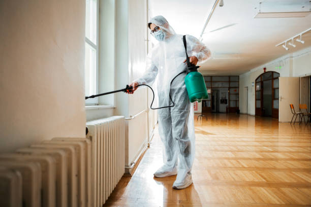 Best Pest Control Treatment  in Ravenswood, WV