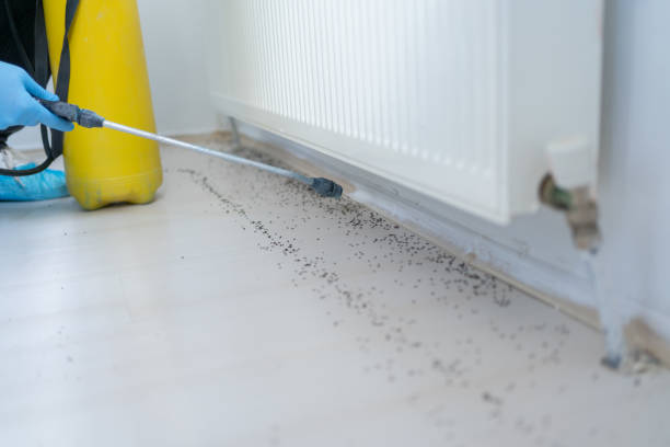 Best Best Pest Control Companies  in Ravenswood, WV